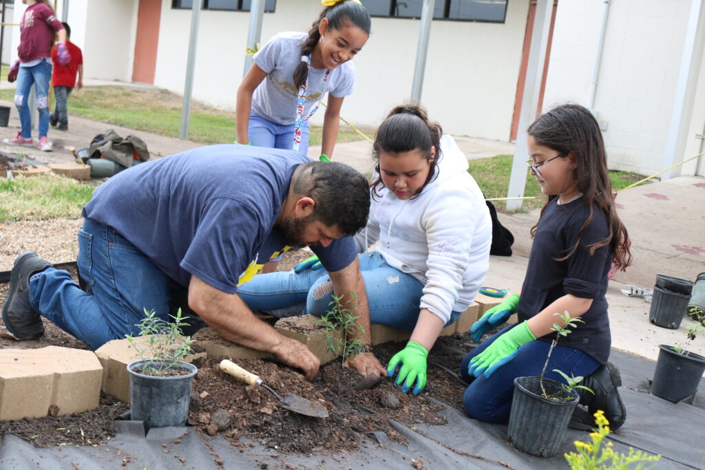 Beautification Project at La Feria ISD – Behavioral Health Solutions of